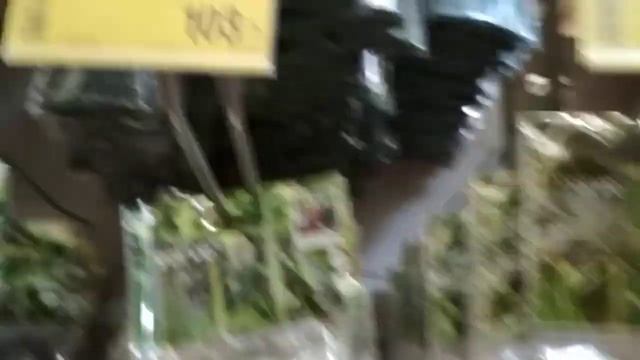 В ?CASTORAMA ?очень много уценики(25.03.2021) смотреть онлайн