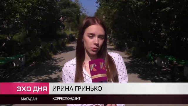 Первокурсники СВГУ начнут учиться в октябре смотреть онлайн