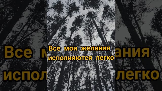 10 МОЩНЫХ АФФИРМАЦИЙ НА ПРИВЛЕЧЕНИЕ ДЕНЕГ НА КАЖДЫЙ ДЕНЬ смотреть онлайн