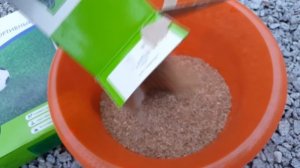 Газон Своими руками. Как Посадить Газон Обзор от посева до ухода в зиму