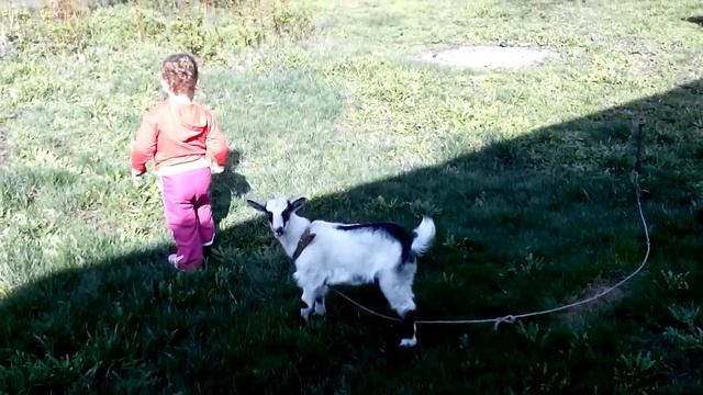 Ируха и козленок. смотреть онлайн