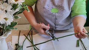 Черенкование роз из букета/ размножение роз  зимой!