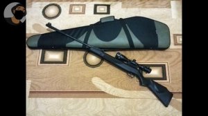 ✔ТОП 5 ПОПУЛЯРНЫХ И МОЩНЫХ ПРУЖИННО–ПОРШНЕВЫХ ПНЕВМАТИЧЕСКИХ ВИНТОВОК! #Оружие #Пневматика #airrifl