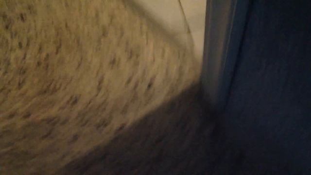 обыкновенный кот -__- смотреть онлайн
