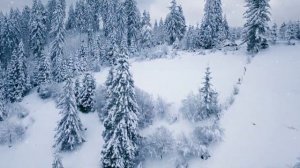 Сергей Чекалин –  Зимние Мелодии !!!