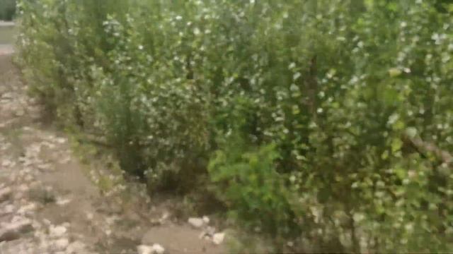 Поездка на Водопады. Пшада смотреть онлайн