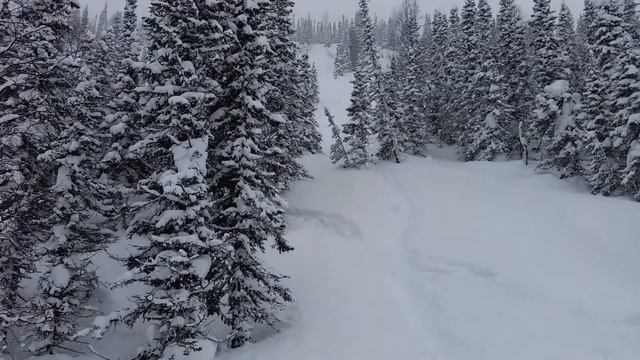 Ремень Pro RMK смотреть онлайн