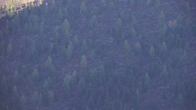 Охотничьи приключения - 2-8 (Алтай) / Vorsordakan Arkacner - 2-8 (Altai) смотреть онлайн