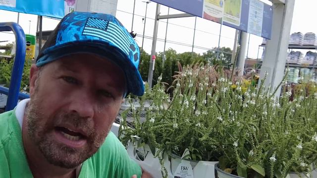 Clearance Plant Shopping At Lowes + Laughs смотреть онлайн