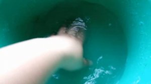 ЛУК НА РЕПКУ. ОБРАБОТКА ПЕРЕД ПОСАДКОЙ.