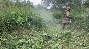Покос участка спустя год. Shtil FS561 и леска 4мм