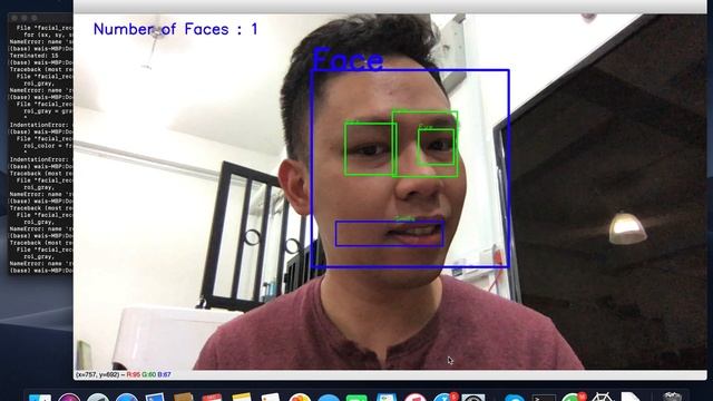 Python Live Face Detection - Haar Cascade Classifier смотреть онлайн