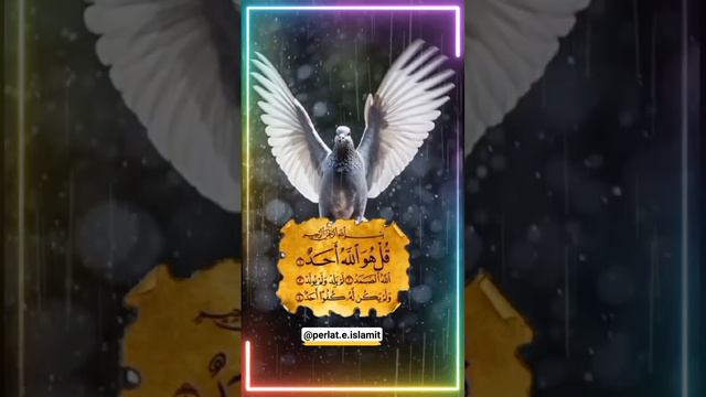 Sure Ihlas 🌸 #subscribe #fejaislame #viral #islam #muslim #allah #muhammed #allahuakbar смотреть онлайн