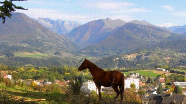 Леонид Семаков Осень смотреть онлайн