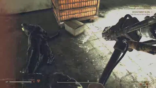 FO76 Defiance has fallen quest guide,how to join Brotherhood of steel PT1 смотреть онлайн