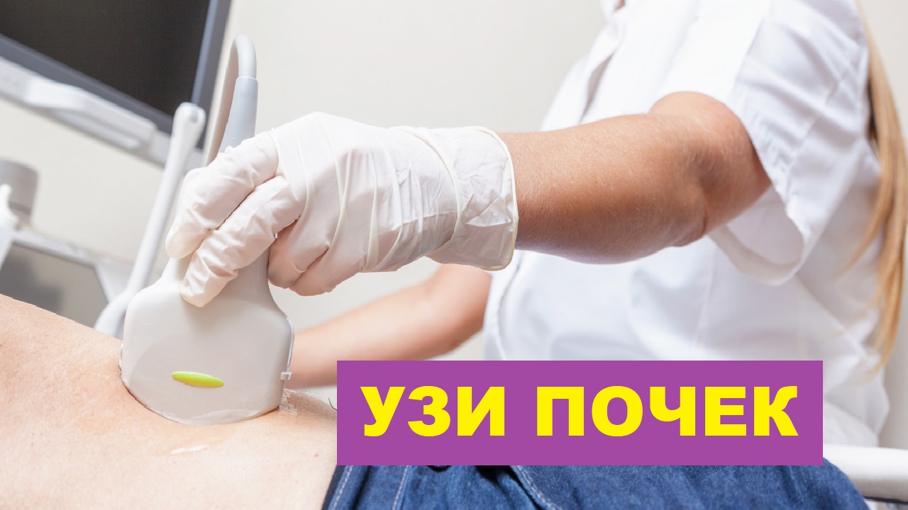 УЗИ почек. Порядок выполнения смотреть онлайн