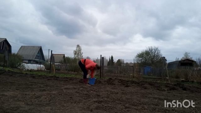 КУПИЛИ ЗАБРОШЕННУЮ ДАЧУ /14/ПОСАДИЛИ КАРТОФЕЛЬ/НУЖЕН СОВЕТ / ПОСАДИЛА ЛУК - СЕВОК И ЧЕСНОК смотреть онлайн