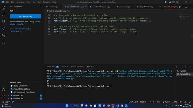 Python Essentials for Variables, Constants, and Magic Numbers смотреть онлайн