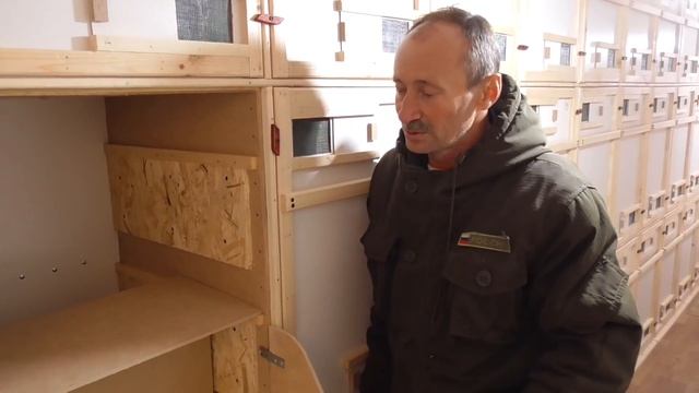 Пчелопавильон из нового материала / 79 семей / (Светлячок).