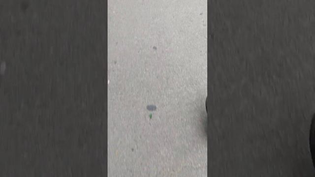 Калашникова 16 #уланудэ #домофон