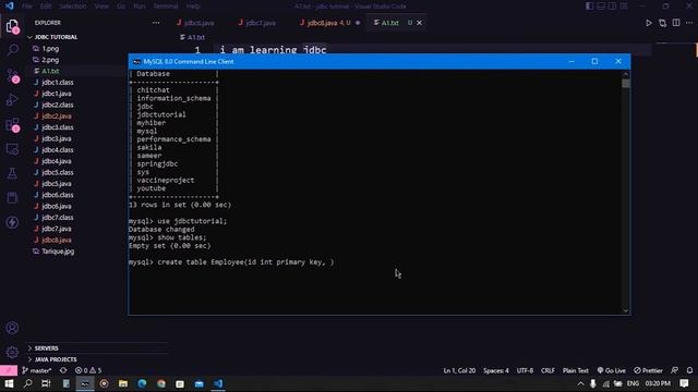 How to store character file to database #10 | JDBC | Database | Pointers смотреть онлайн