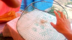 Раколовка своими руками