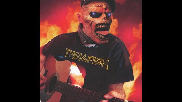 Iron Maiden Acoustic - The Edge Of Darkness