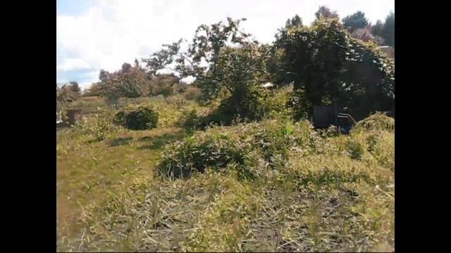 Mаленький домик в деревне смотреть онлайн