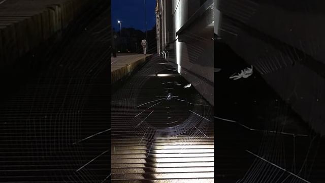 Такелажник від природи. смотреть онлайн