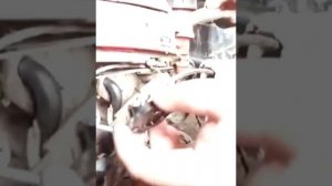 XONDA GCV135 ЧИСТКА КАРБЮРАТОРА