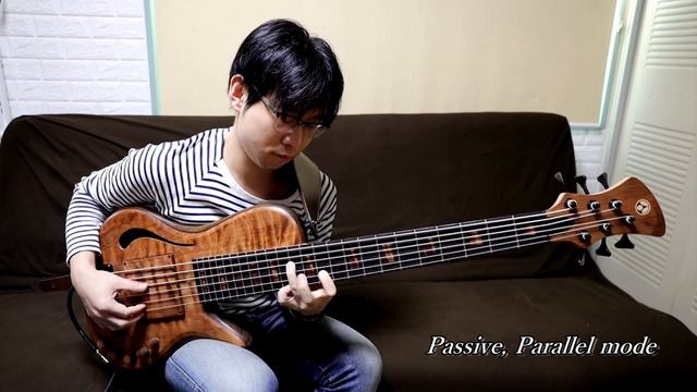 Noriaki Hosoya Adamovic Flamed Redwood Halo 6string смотреть онлайн