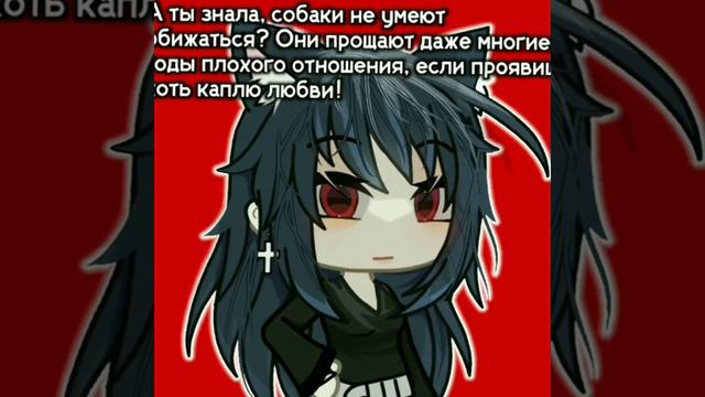 да я собака 🐶