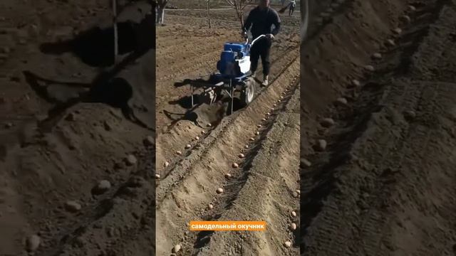 Самодельный окучник для мотоблока смотреть онлайн