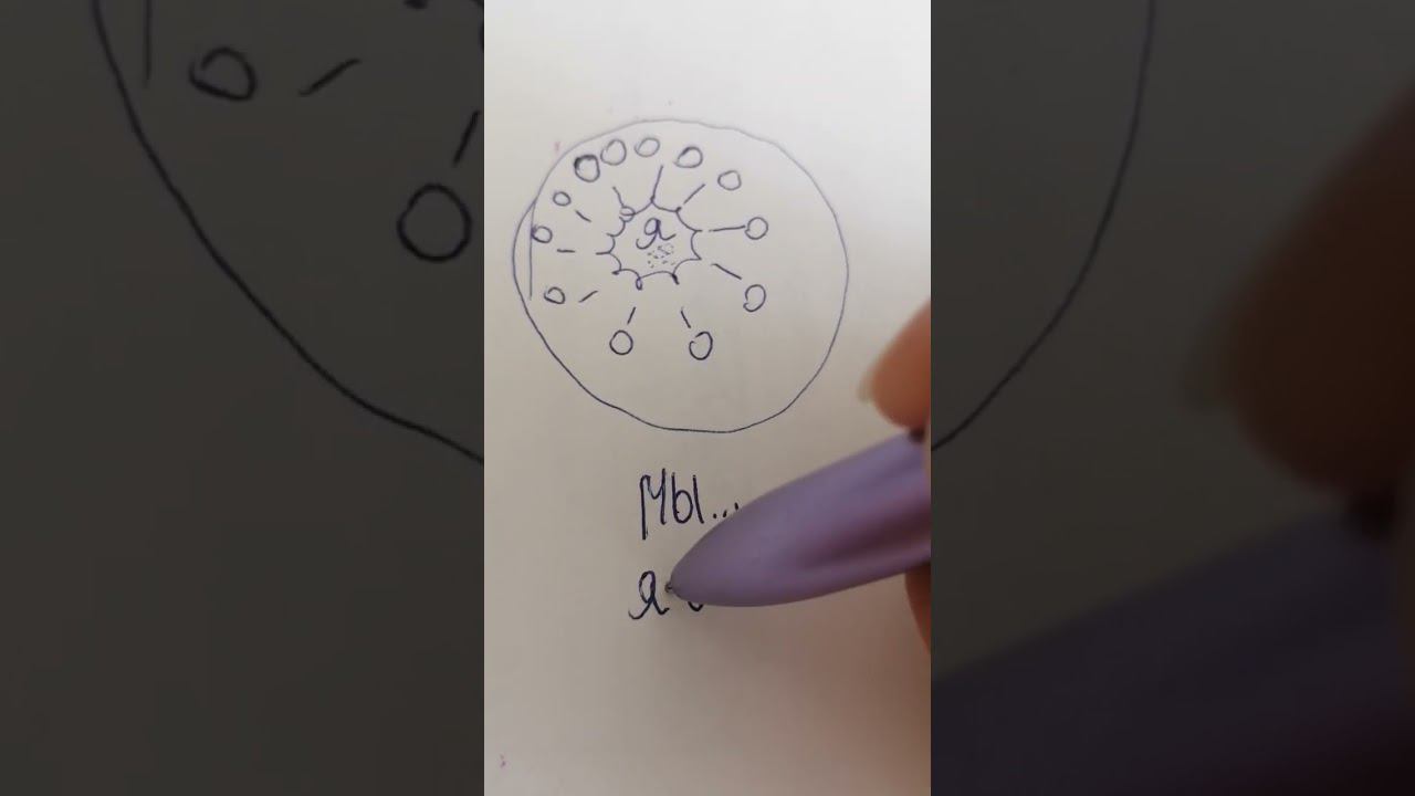 Иной способ воззрения на личные границы смотреть онлайн