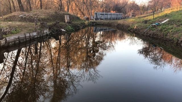 Родниковый пруд. Плюсы и минусы. Проблемы и их решение. Мой пруд без пленки. Пруд на дачном участке смотреть онлайн