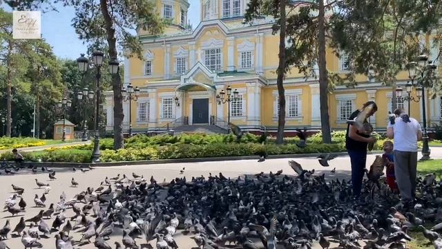 Алматы город детства. Моя родина. смотреть онлайн