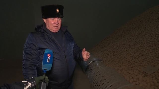 Проверка семенного картофеля в Ростовской области.mp4 смотреть онлайн