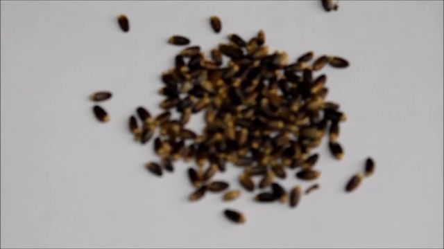 Секреты Умелых Рук