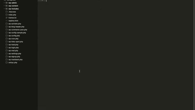 How to setup and use XDEBUG with Sublime Text | WP Tips and Tricks | PHP | WordPress смотреть онлайн