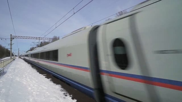 Сапсаны летят на крейсерской скорости среди тверских лесов + другие поезда смотреть онлайн
