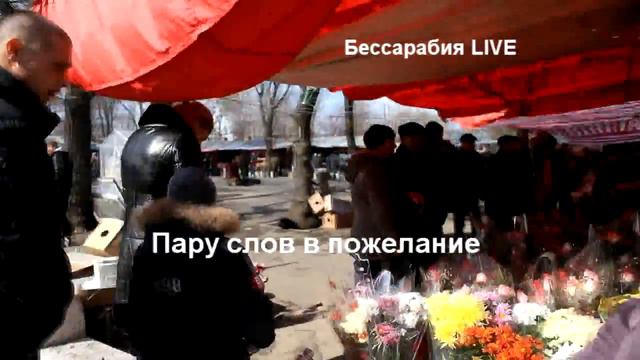 Мужчины Бессарабии поздравили женщин с 8 марта .avi смотреть онлайн