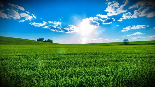 ? Истории из жизни ? Свекровь, которая пошла на подлость ? Жизненные истории ?