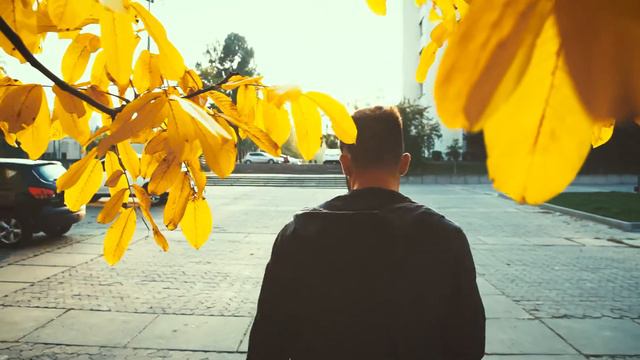 Подшипники для роликов - тайны и заблуждения