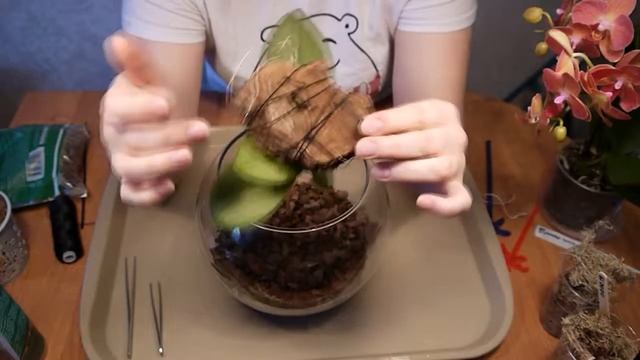 100% Работает!!! Реанимация орхидей в тепличке. смотреть онлайн