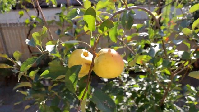 Секреты Умения