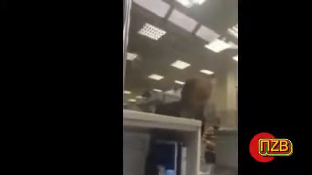 Приколы на Ютьюбе/Поступлений новых не было (+16) смотреть онлайн