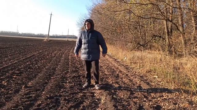 Социальный ролик 