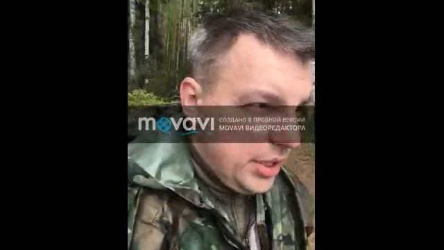 шуя 2019 смотреть онлайн