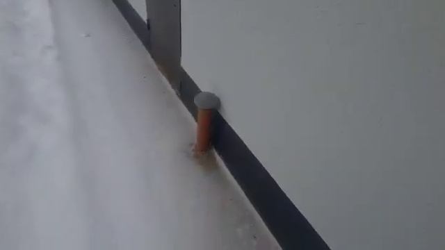 Стройка Эксперт