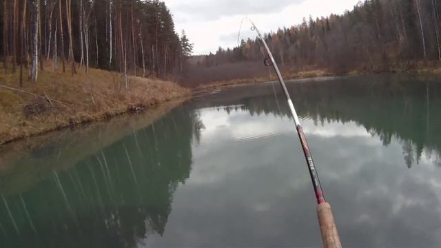 Китайская форель смотреть онлайн